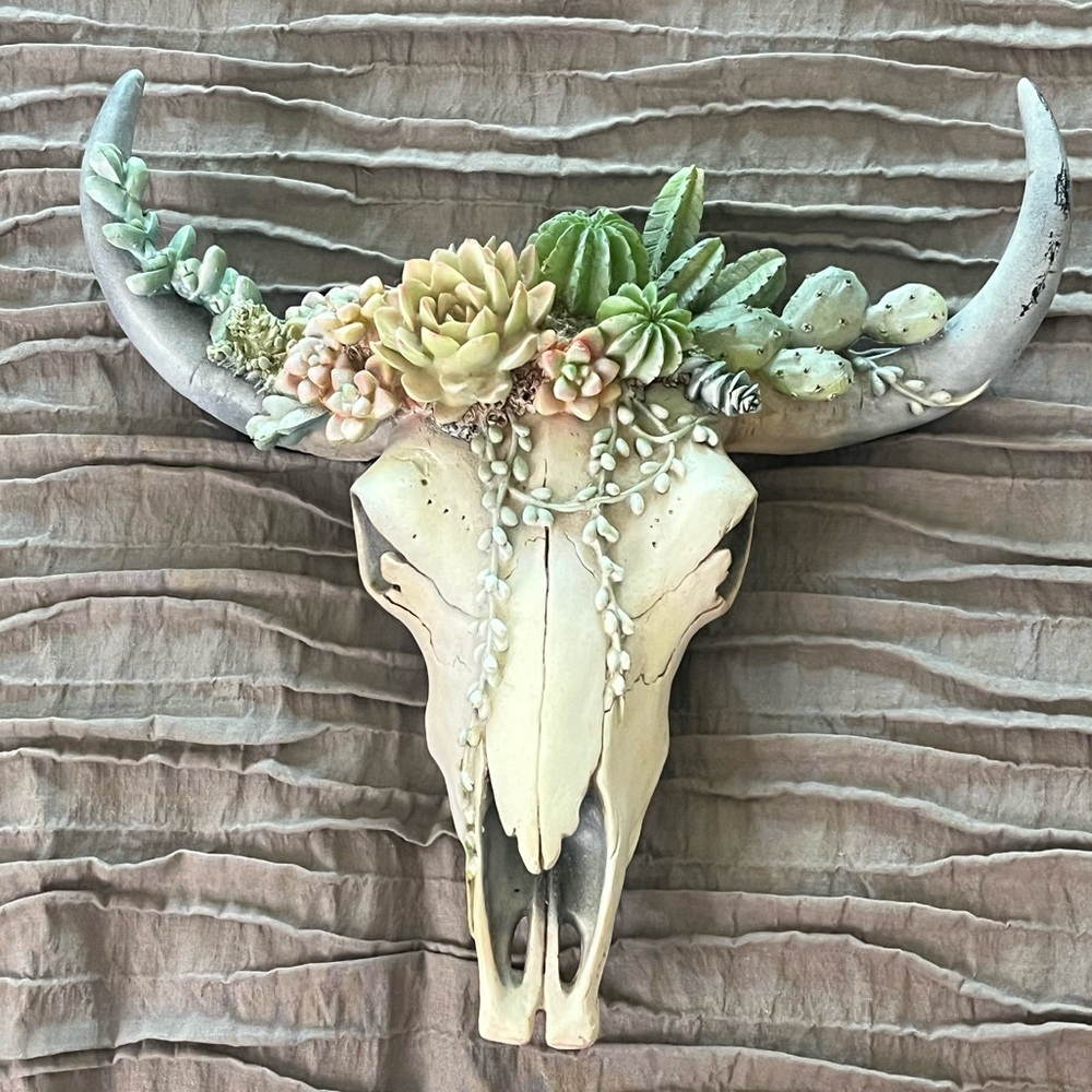 Succulent Adorned Bull Skull Wall Accent
